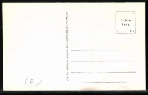 AK Den Haag, Groot-Hertoginnelaan, Strassenbahn