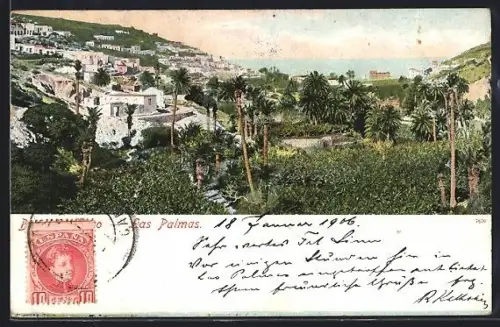 AK Las Palmas, Vista general