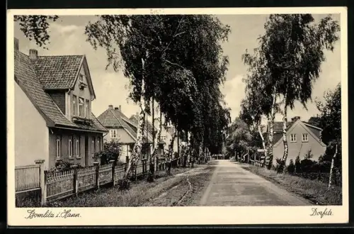 AK Bomlitz, Dorfstrasse mit Wohnhäusern