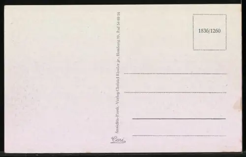 AK Soltau, Strassenpartie der Visselhöveder Strasse