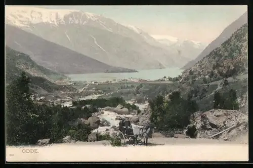 AK Odde, Ortsansicht mit Umgebung, Kutsche