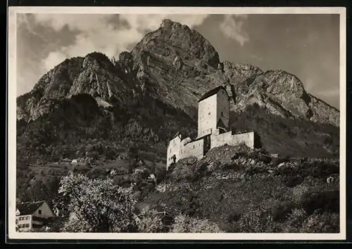 AK Sargans, Schloss Sargans im Rheintal