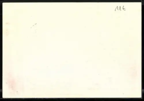 AK Bonn, US Präsident Eisenhower zu Gast in bei Bundeskanzler Adenauer 1959