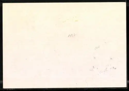 AK BRD, Besuch des Präsidenten der USa John F. Kennedy 1963, Konrad Adenauer