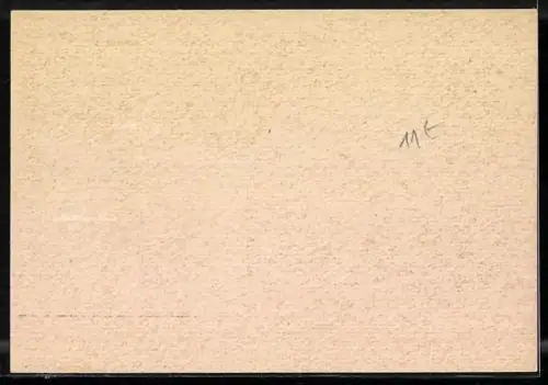 AK Staatsbesuch 1962, Charles de Gaulle, Konrad Adenauer, Fahnen