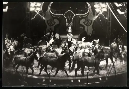 AK Staatszirkus der DDR, Günter u. Rosemarie Dorning, Pferdefreiheit