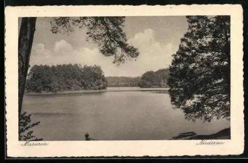 AK Niedersee /Masuren, Partie am Niedersee