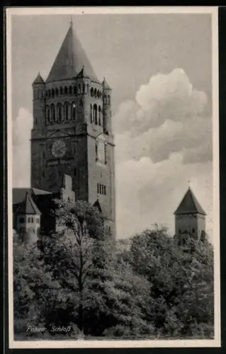 AK Posen / Poznan, Blick zum Schloss