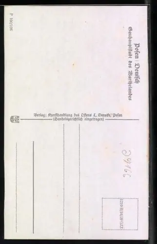 AK Posen / Poznan, Bibliothek und Stadtheater