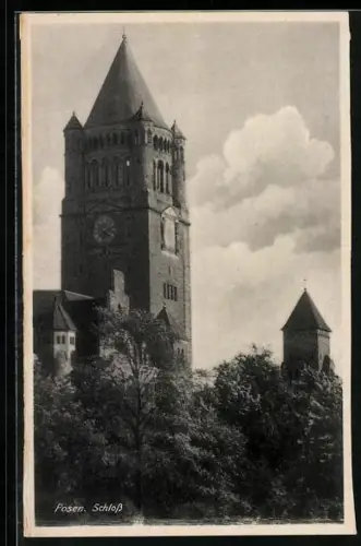 AK Posen / Poznan, Blick zum Schloss