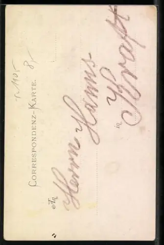 Künstler-AK Salzburg, Totalansicht mit Festung u. Bergpanorama