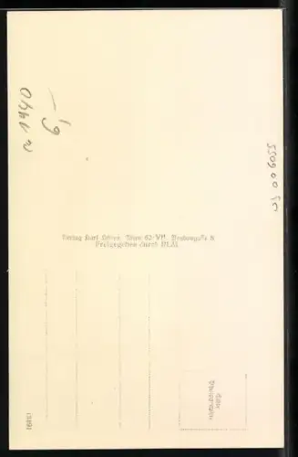 AK Gmünd, Strassenpartie mit Blick auf die Ruine