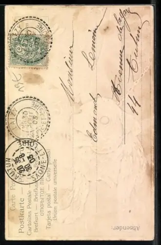 AK Kleiner Hund schaut Libelle nach