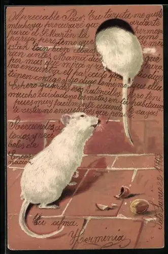 AK Weisse Mäuse und Haselnüsse