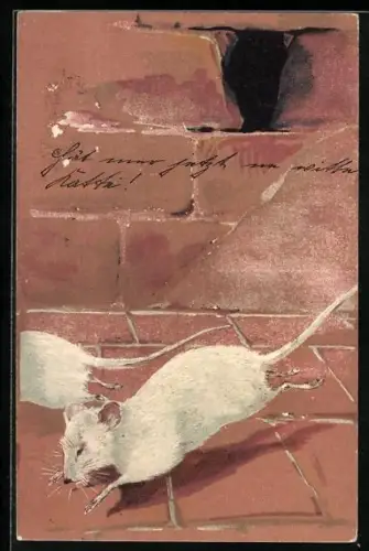 Künstler-AK Weisse Ratten auf Bürgersteig vor ihrem Schlupfloch