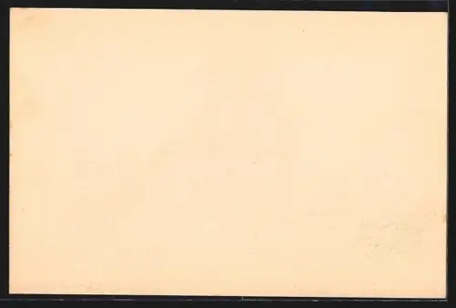 AK Reeks, Tribunal indigène à Léopoldville