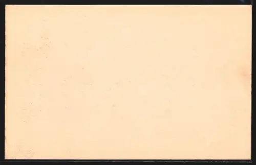 AK Reeks, Jardin planté de palmiers