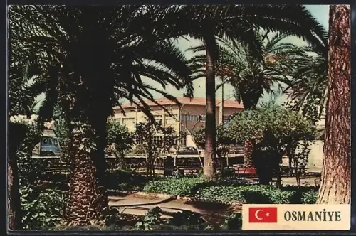 AK Osmaniye, Ortspartie