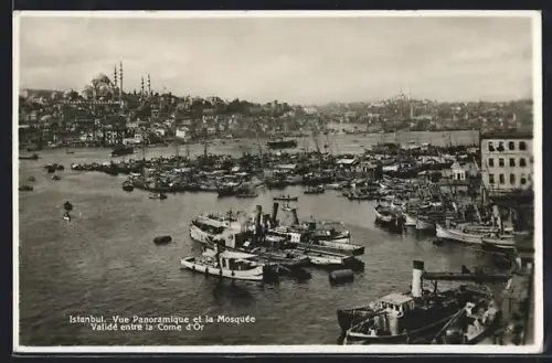AK Istanbul, Vue Panoramique et la Mosquée
