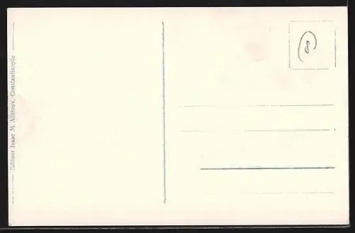 AK Constantinople, L`entrée du port et la Mosquée de Tophane