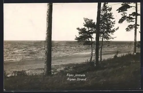 AK Riga, Ansicht vom Rigaer Strand an der Rigaer Bucht