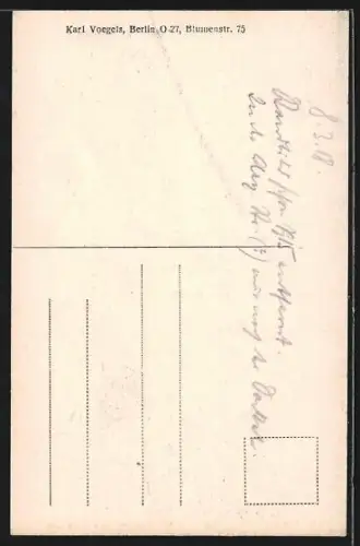 AK Riga, Denkmal Peter des Grossen