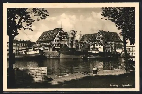 AK Elbing, Blick auf die Speichergebäude, Frachtschiff Pax an der Kaimauer