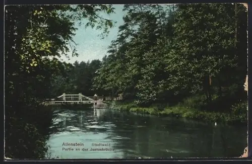 AK Allenstein, Stadtwald, Partie an der Justusbrücke