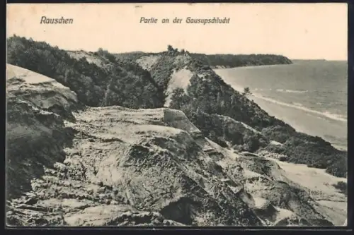 AK Rauschen a. d. Ostsee, Partie an der Gausupschlucht