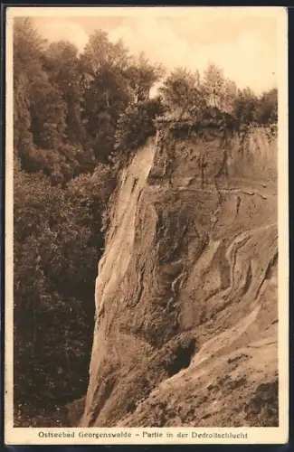 AK Georgenswalde, Partie in der Dedroitschlucht