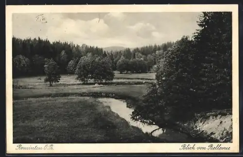 AK Rominten /O.Pr., Blick von Bellevue