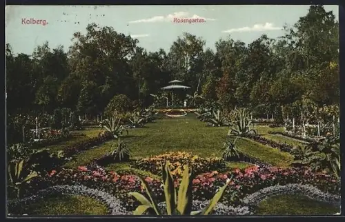 AK Kolberg, Partie im Rosengarten