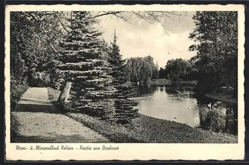 AK Polzin, Partie am Brodesee