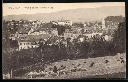 AK Guéret, Vue générale, côté Est, avec troupeau de moutons au premier plan