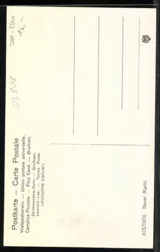 AK Rostock, Neuer Markt mit Strassenbahn und Leuten