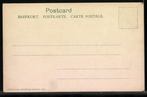 AK Stockholm, Strassenpartie, Strassenbahn