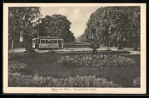 AK Bonn am Rhein, Poppelsdorfer Allee mit Strassenbahn