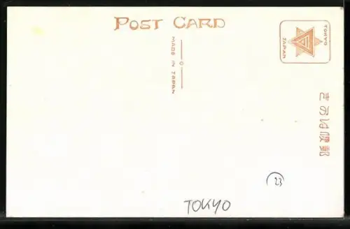 AK Tokio, The Emperor`s-road with tramway, Strassenbahn