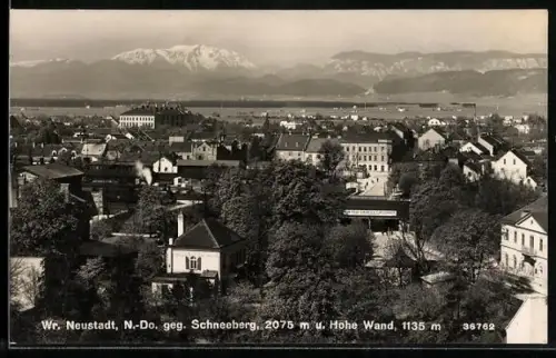 AK Wr. Neustadt, Totalansicht gegen Schneeberg u. Hohe Wand