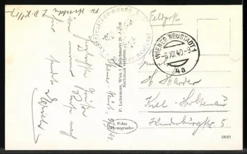 AK Wr. Neustadt, Totalansicht gegen Schneeberg u. Hohe Wand