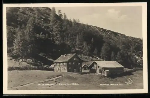 AK Gosau /Salzkammergut, Zwieselalpe, Ortsansicht