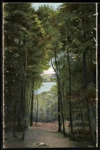 AK Maria Laach, Abtei, Durchblick auf die Abteikirche