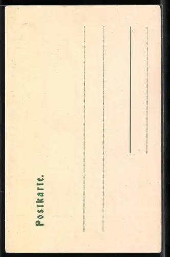 AK Finkenberg /Zillertal, Totalansicht mit Ingent