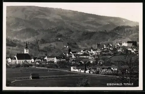 AK Eibiswald, Totalansicht mit Umgebung