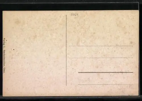 AK Gösting bei Graz, Totalansicht aus der Vogelschau