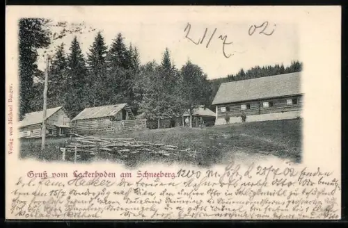 AK Payerbach, Gruss von Lackerboden am Schneeberg