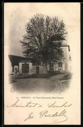 AK Couilly, Le Vieux Marronnier, Rue Pasteur