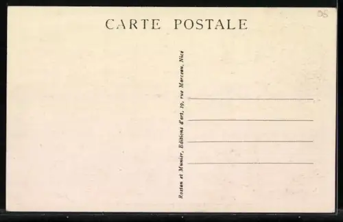 AK Nice, Vue générale prise du Mont-Boron