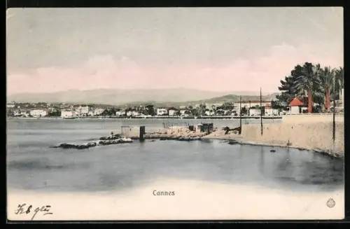 AK Cannes, Panorama