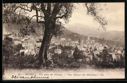 AK Grasse, Vue entre les Oliviers